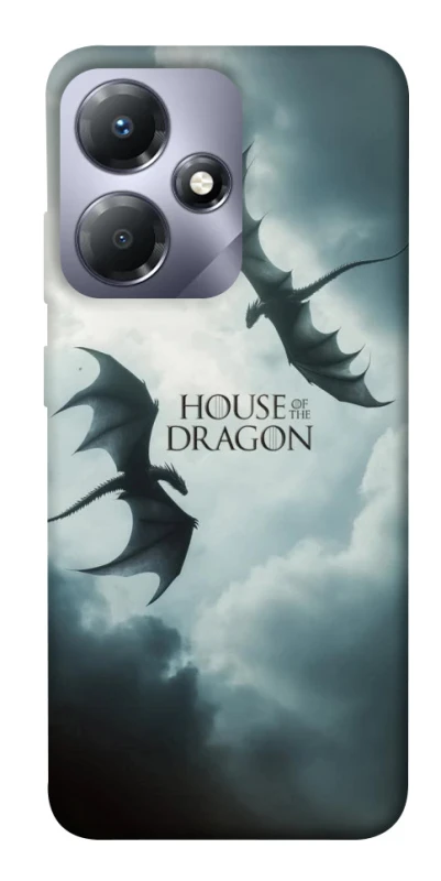 Чехол на Infinix Hot 30 Play House of the Dragon ver.5 фото 1 из 1