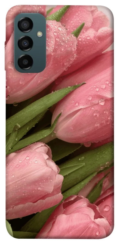 Чохол на Samsung Galaxy M34 5G Beauty фото 1 з 1