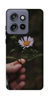 Чехол на Motorola Edge 50 Neo Ромашка v4 фото 1 из 1