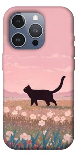 Чохол на Apple iPhone 16 Pro Max cat on a field фото 1 з 1