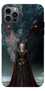 Чехол на Apple iPhone 12 Pro (6.1") House of the Dragon ver.7 фото 1 из 1