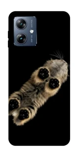 Чехол на Motorola Moto G54 Power Cat фото 1 из 1