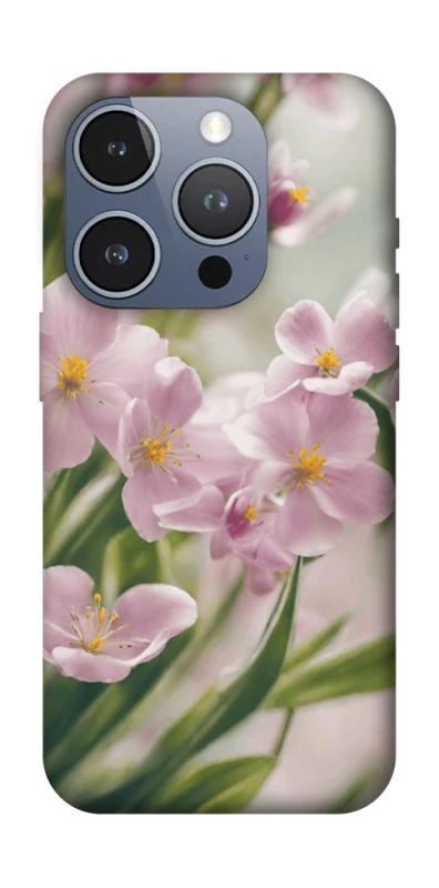 Чехол на Apple iPhone 16 Pro Spring фото 1 из 1