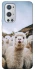 Чохол на OnePlus 9 Pro Лама фото 1 з 1