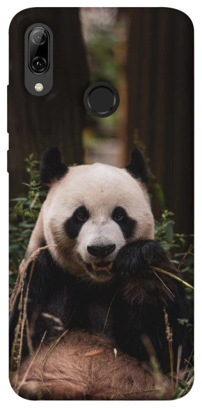 Чохол на Huawei P Smart (2019) Панда фото 1 з 1