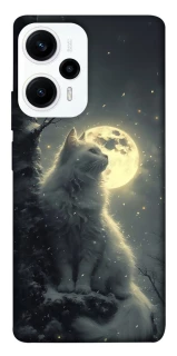 Чохол на Xiaomi Poco F5 / Note 12 Turbo Кіт під місяцем фото 1 з 1