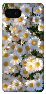 Чохол на Google Pixel 7a Поле ромашок фото 1 з 1