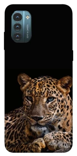 Чехол на Nokia G21 Leopard v4 фото 1 из 1