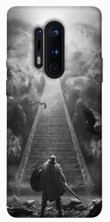 Чехол на OnePlus 8 Pro Valhalla фото 1 из 1