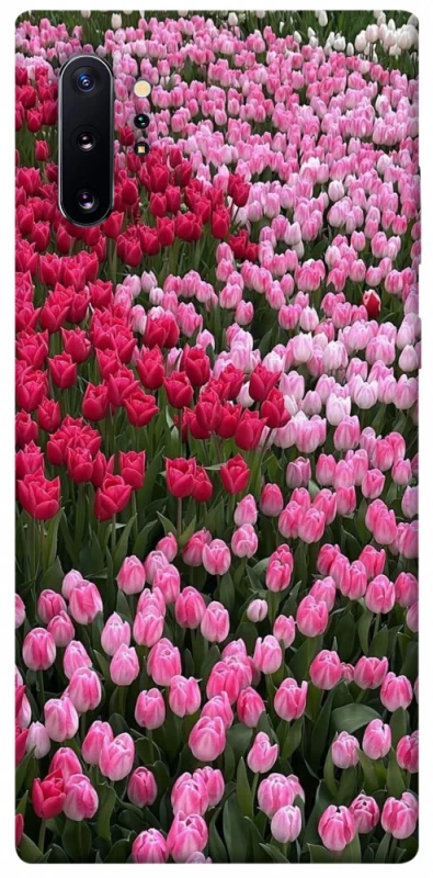 Чохол на Samsung Galaxy Note 10 Plus Flowers v9 фото 1 з 1