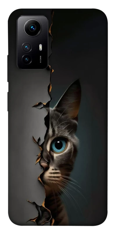 Чехол на Xiaomi Redmi Note 12S Кот-подглядыватель v2 фото 1 из 1