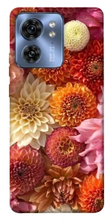 Чохол на Motorola Edge 40 Bouquet фото 1 з 1