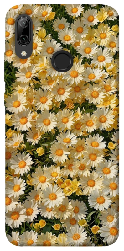 Чохол на Huawei P Smart (2019) Camomile фото 1 з 1