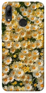 Чехол на Huawei P Smart (2019) Camomile фото 1 из 1