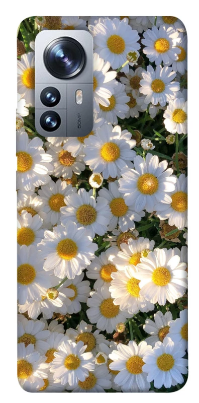 Чохол на Xiaomi 12 / 12X Поле ромашок фото 1 з 1