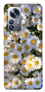 Чохол на Xiaomi 12 / 12X Поле ромашок фото 1 з 1
