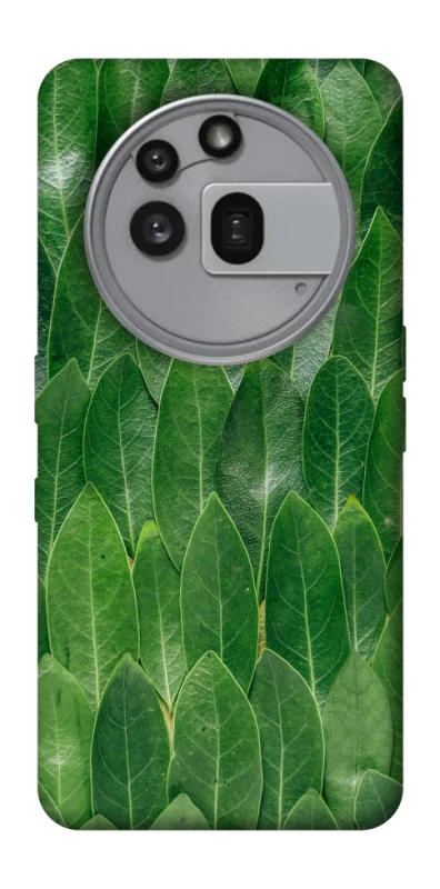 Чехол на Nothing Phone (3a) Pro Листья фото 1 из 1