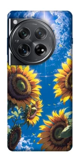 Чохол на OnePlus 12 Sunflowers фото 1 з 1