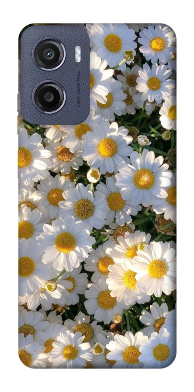 Чехол на Motorola Moto E15 Поле ромашек фото 1 из 1