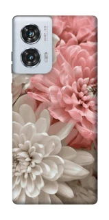 Чохол на Motorola Edge 50 Fusion Spring flow фото 1 з 1