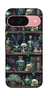 Чохол на Google Pixel 9 Bookshelf ver.1 фото 1 з 1