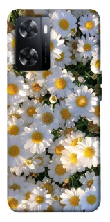 Чохол на OnePlus Nord N20 SE Поле ромашок фото 1 з 1