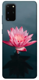 Чехол на Samsung Galaxy S20+ Лотос фото 1 из 1