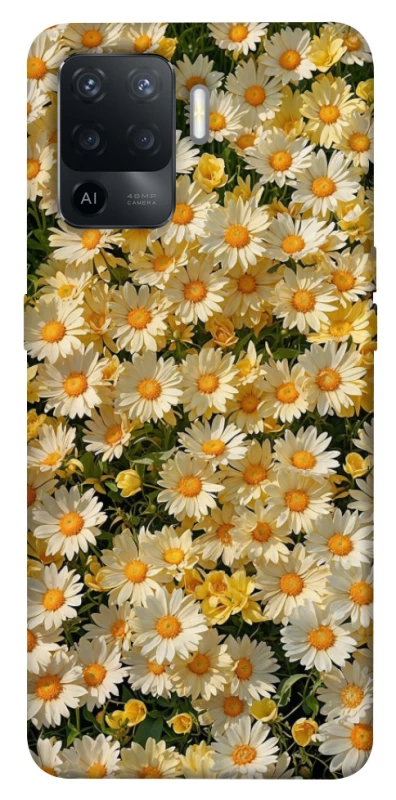 Чохол на Oppo Reno 5 Lite Camomile фото 1 з 1