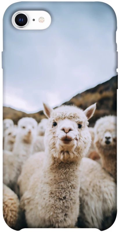 Чохол на Apple iPhone SE (2020) Лама фото 1 з 1