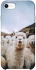 Чохол на Apple iPhone SE (2020) Лама фото 1 з 1
