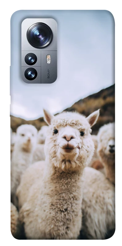 Чохол на Xiaomi 12 / 12X Лама фото 1 з 1