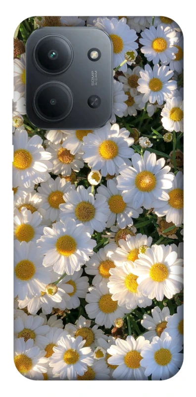 Чехол на Xiaomi Redmi 15C (EU) Поле ромашек фото 1 из 1