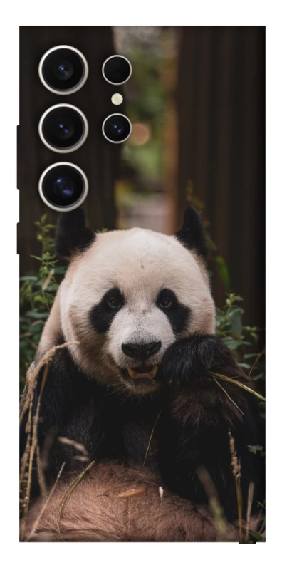 Чехол на Samsung Galaxy S25 Ultra Панда фото 1 из 1