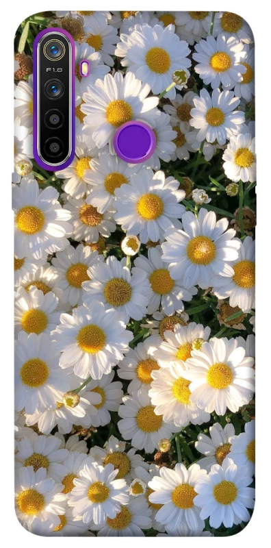 Чохол на Realme 5 Поле ромашок фото 1 з 1