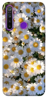 Чохол на Realme 5 Поле ромашок фото 1 з 1