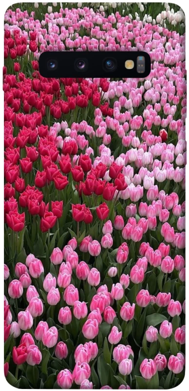 Чохол на Samsung Galaxy S10+ Flowers v9 фото 1 з 1