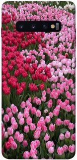 Чохол на Samsung Galaxy S10+ Flowers v9 фото 1 з 1