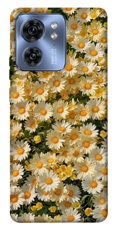 Чохол на Motorola Edge 40 Camomile фото 1 з 1
