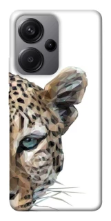 Чехол на Xiaomi Redmi Note 13 Pro+ Leopard Art v2 фото 1 из 1