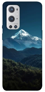 Чехол на OnePlus 9 Pro Mountain v4 фото 1 из 1