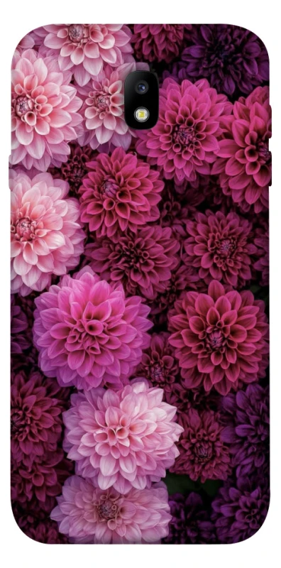 Чохол на Samsung J730 Galaxy J7 (2017) Garden1 фото 1 з 1