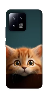 Чохол на Xiaomi 13 Чохол Кошеня фото 1 з 1