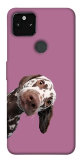 Чохол на Google Pixel 5A А що тут фото 1 з 1