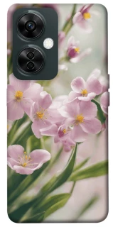 Чохол на OnePlus Nord CE 3 Lite Spring фото 1 з 1