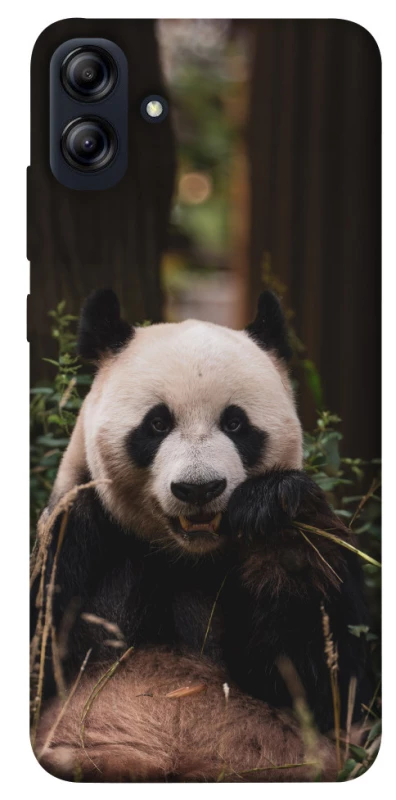 Чехол на Samsung Galaxy A04e Панда фото 1 из 1