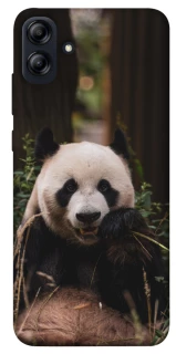 Чехол на Samsung Galaxy A04e Панда фото 1 из 1