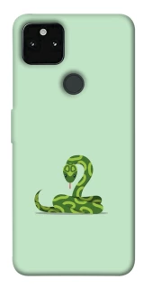 Чехол на Google Pixel 5A Змейка фото 1 из 1