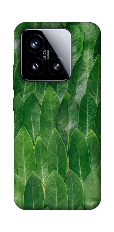 Чохол на Xiaomi 15 Листя фото 1 з 1