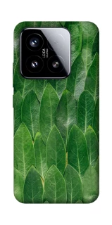 Чехол на Xiaomi 15 Листья фото 1 из 1