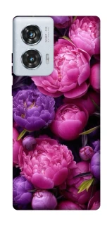 Чохол на Motorola Edge 50 Fusion Garden2 фото 1 з 1